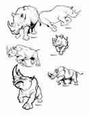 Rhino